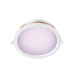 Full Colour Downlight