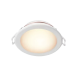 Tuneable White Downlight